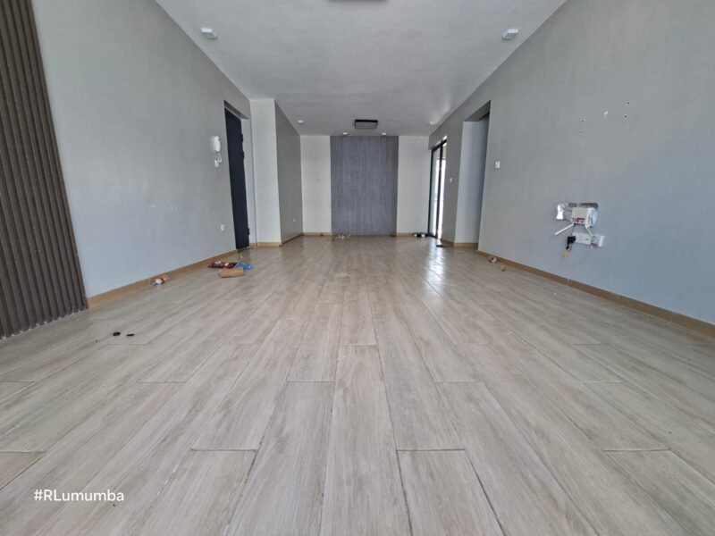 3 Bedroom Plus Dsq Apartment For Rent in Syokimau