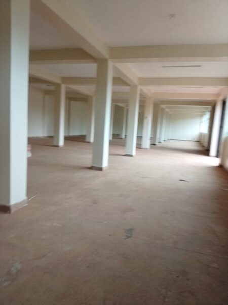 Go down 3000sq feet at Daraja Mbili