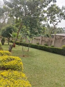 6BEDROOM 3 ENSUITE at Nyamataro