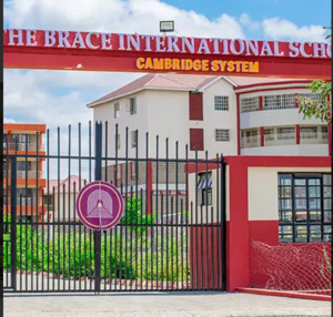 The Brace Schools