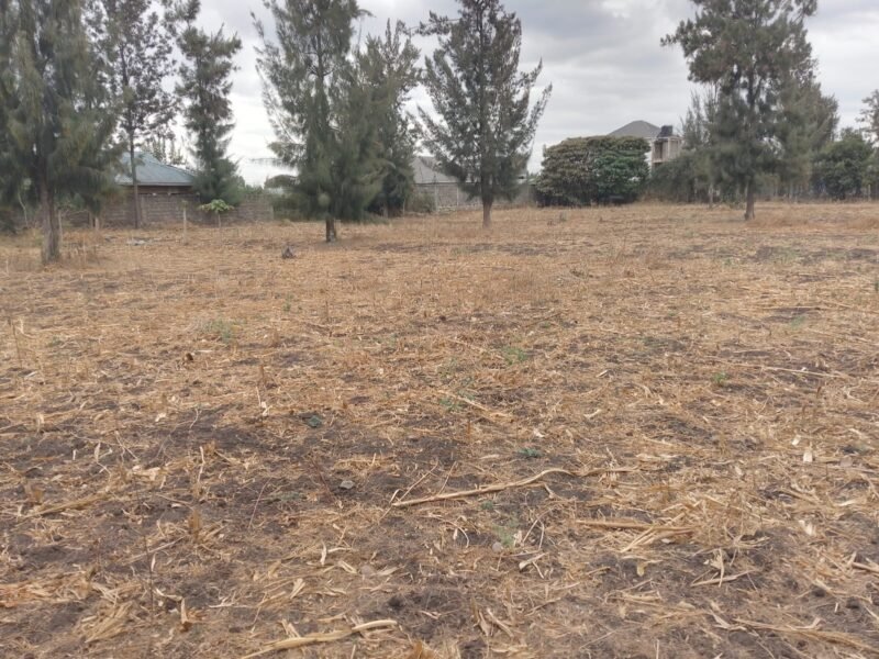 50 × 100 Residential Plots for Sale in Kisaju, Kitengela – KSh 1M
