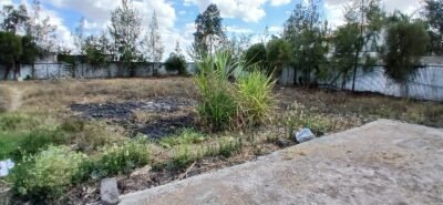 100 × 100 Plots for Sale in Katani, Syokimau – Rim-House Court