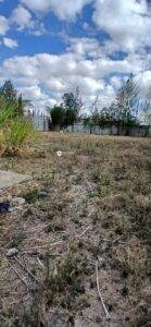 100 × 100 Plots for Sale in Katani, Syokimau – Rim-House Court