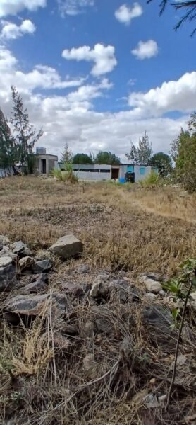 100 × 100 Plots for Sale in Katani, Syokimau – Rim-House Court
