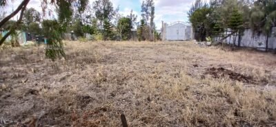 100 × 100 Plots for Sale in Katani, Syokimau – Rim-House Court