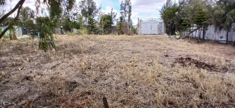 100 × 100 Plots for Sale in Katani, Syokimau – Rim-House Court