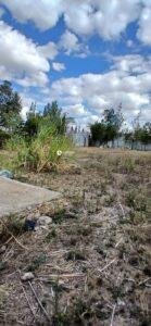 100 × 100 Plots for Sale in Katani, Syokimau – Rim-House Court
